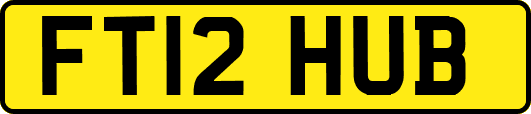 FT12HUB