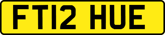 FT12HUE