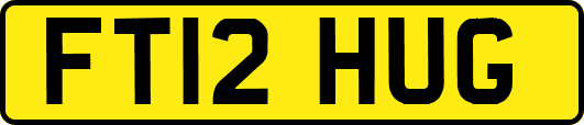 FT12HUG