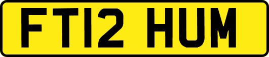 FT12HUM