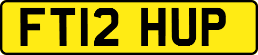 FT12HUP