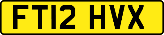 FT12HVX