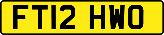 FT12HWO