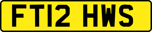 FT12HWS
