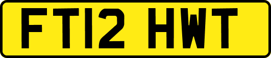 FT12HWT