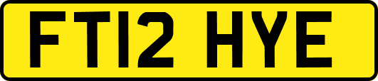 FT12HYE