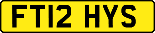FT12HYS