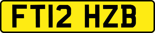 FT12HZB
