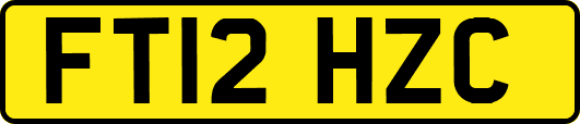FT12HZC