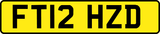 FT12HZD