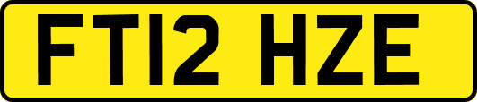 FT12HZE