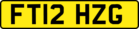 FT12HZG