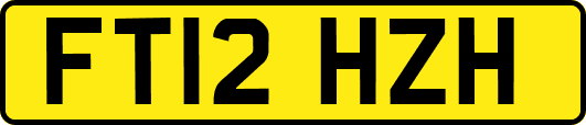 FT12HZH