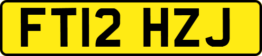 FT12HZJ