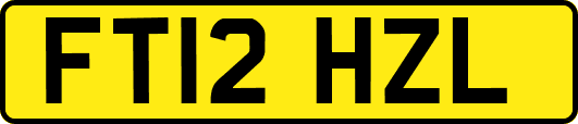 FT12HZL