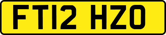 FT12HZO