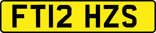 FT12HZS