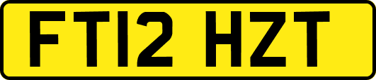 FT12HZT
