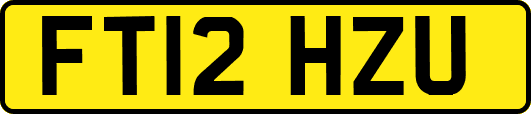 FT12HZU