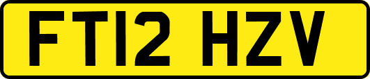 FT12HZV