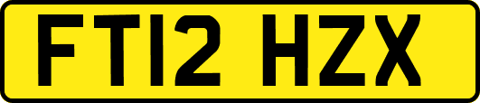FT12HZX