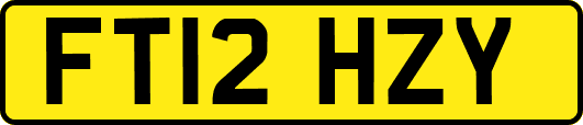 FT12HZY