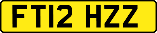 FT12HZZ