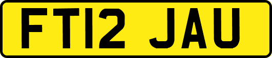 FT12JAU