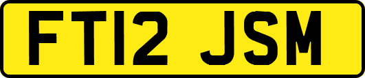 FT12JSM