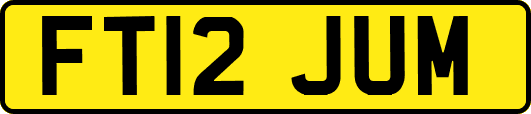 FT12JUM