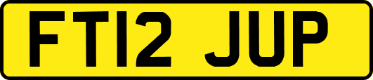 FT12JUP