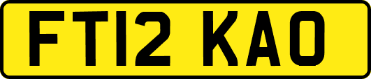 FT12KAO