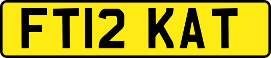 FT12KAT