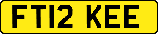 FT12KEE