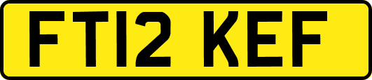 FT12KEF