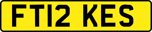 FT12KES