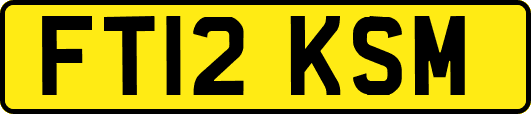 FT12KSM
