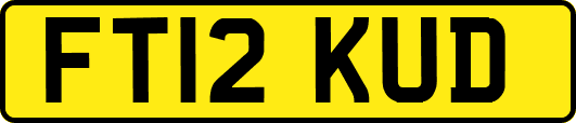 FT12KUD