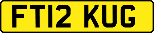 FT12KUG