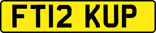 FT12KUP