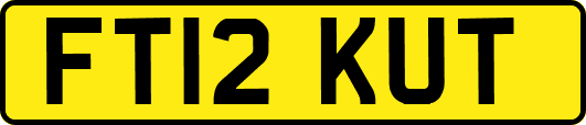 FT12KUT