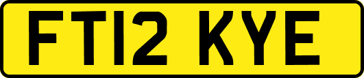 FT12KYE
