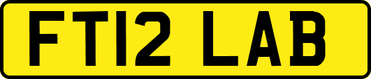 FT12LAB