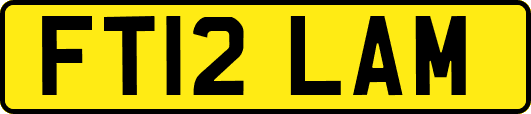 FT12LAM