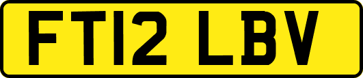 FT12LBV