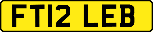 FT12LEB