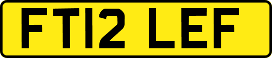 FT12LEF