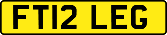 FT12LEG