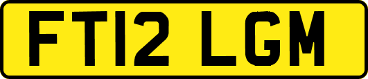 FT12LGM