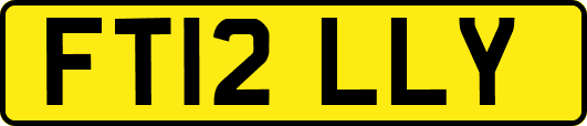 FT12LLY